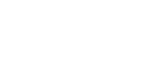Original white webzhinlogo